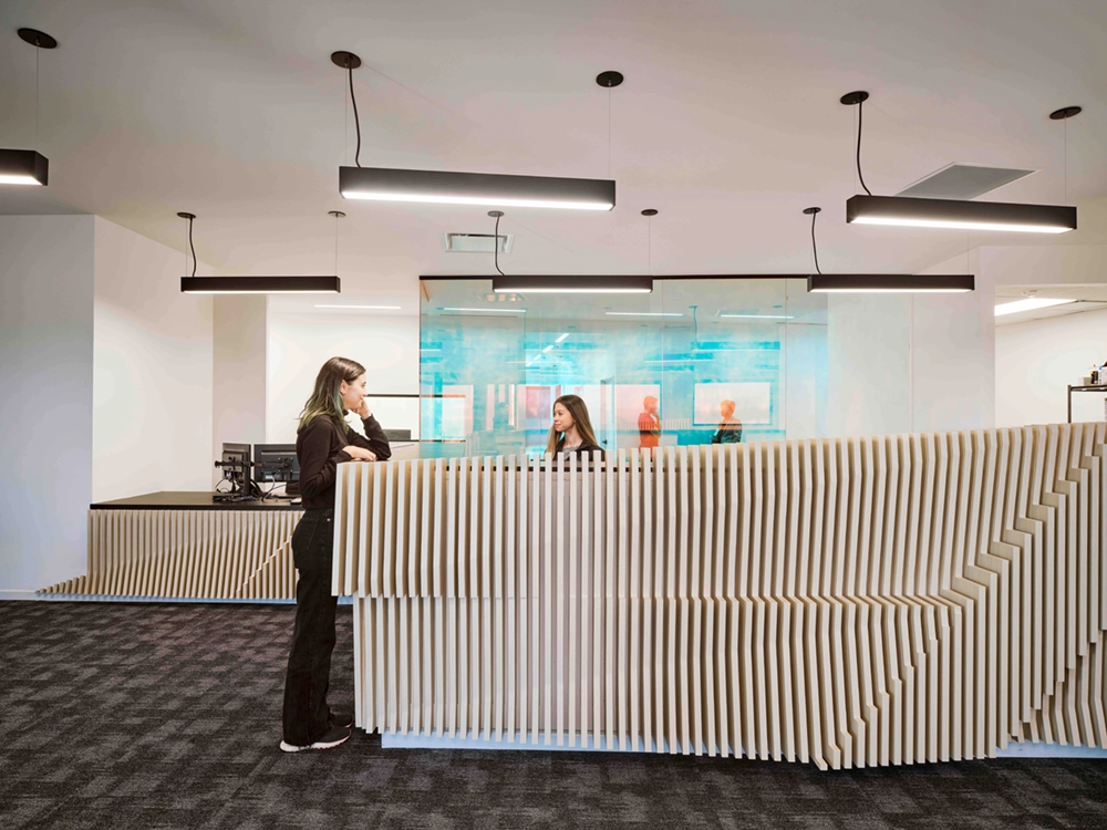 Northstar Dermatology  | 2022