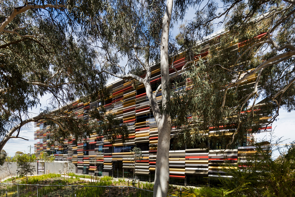 Synergy, CSIRO Acton