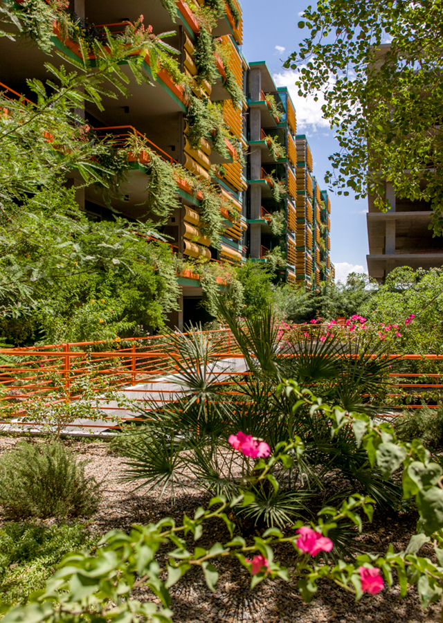 Optima Sonoran Village