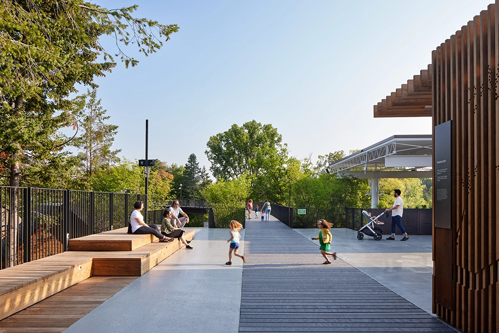 The Chicago Athenaeum Minnesota Zoo Treetop Trail Apple Valley