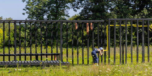 Sensory Journey Art Omi Sculpture Park | 2020-2021