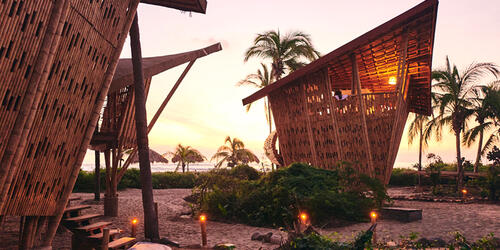 Bamboo Treehouse Village at Playa Viva | 2021