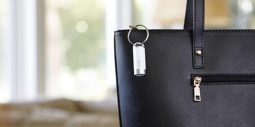 Arlo Safe | 2021-2022