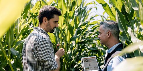 MyKWS - Sustainable Smart Farming Cockpit | 2021-2023