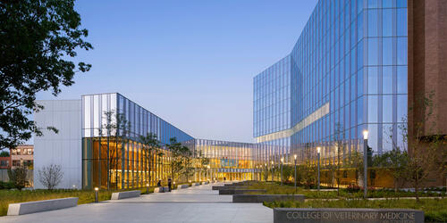 Cornell University’s College of Veterinary Medicine, Ithaca, New York, USA | 2017