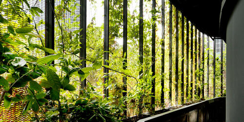 Oasia Hotel Downtown 2011-2016