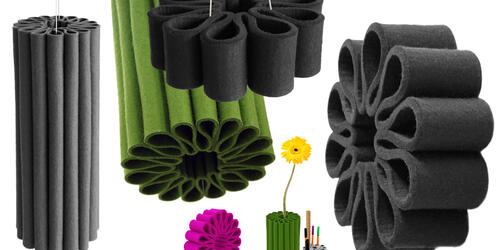 Daisy Plissee SoundBlossom Acoustic Series 2013-2017